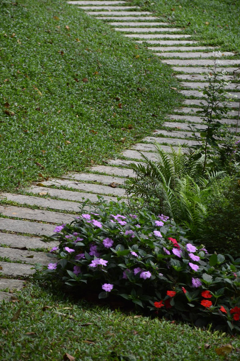 Lcooo_'s tweet photo. 🌱 https://t.co/On8PrthO40