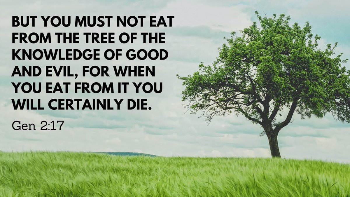 Believe Jesus Christ tweet media