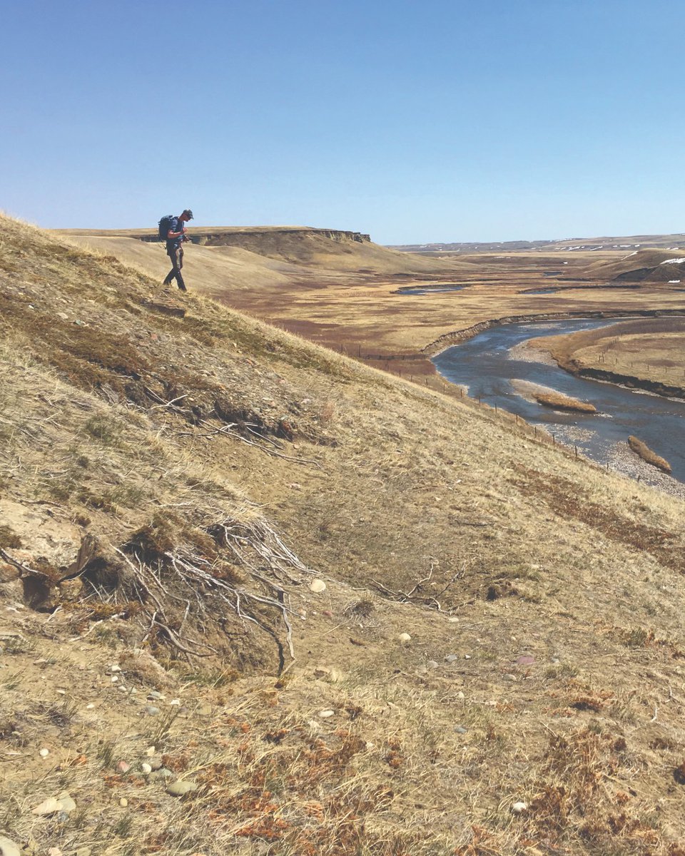 ConserveAlberta's tweet photo. 🚨 We’re hiring a full-time Intermediate/Senior Biologist in Lethbridge, AB!
Love fieldwork? Want to lead conservation projects? Join our team. 🦅🌿
* Relocation costs are not covered

🔗 Apply now: https://t.co/o5N6TMo0xq https://t.co/OCNIGQ1qeu