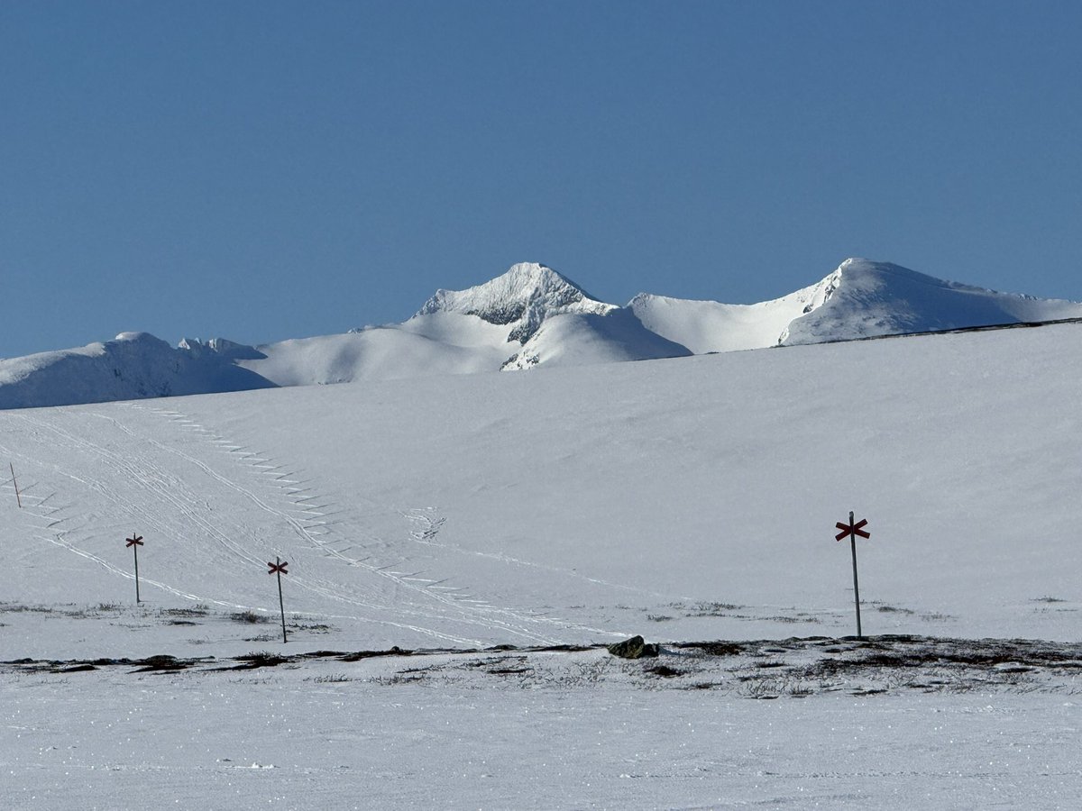 HCHolmberg1's tweet photo. ”The mountains are calling and I must go” - John Muir
#snasahögarna #storulvån #sylarna #jämtland #sweden #springwinter #snow #skiing #wilderness #mountains https://t.co/GuiBpt2sm2