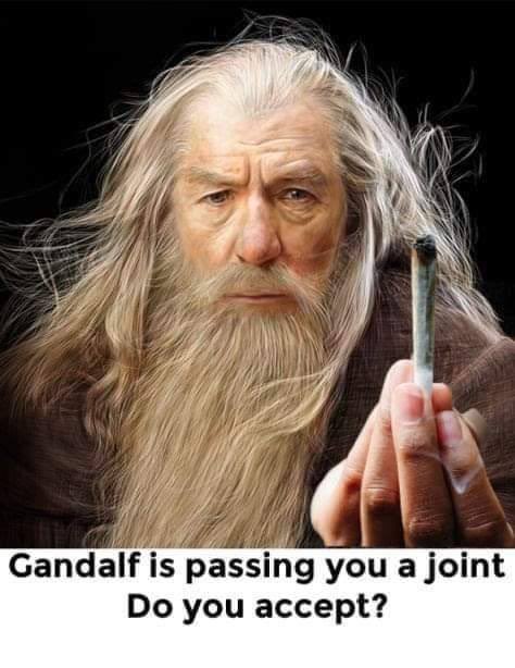 roguedad24's tweet image. Dev left day 1 @JakeGagain ✅

weedcoin , run by the people , for the people , grassroots toke in 💨