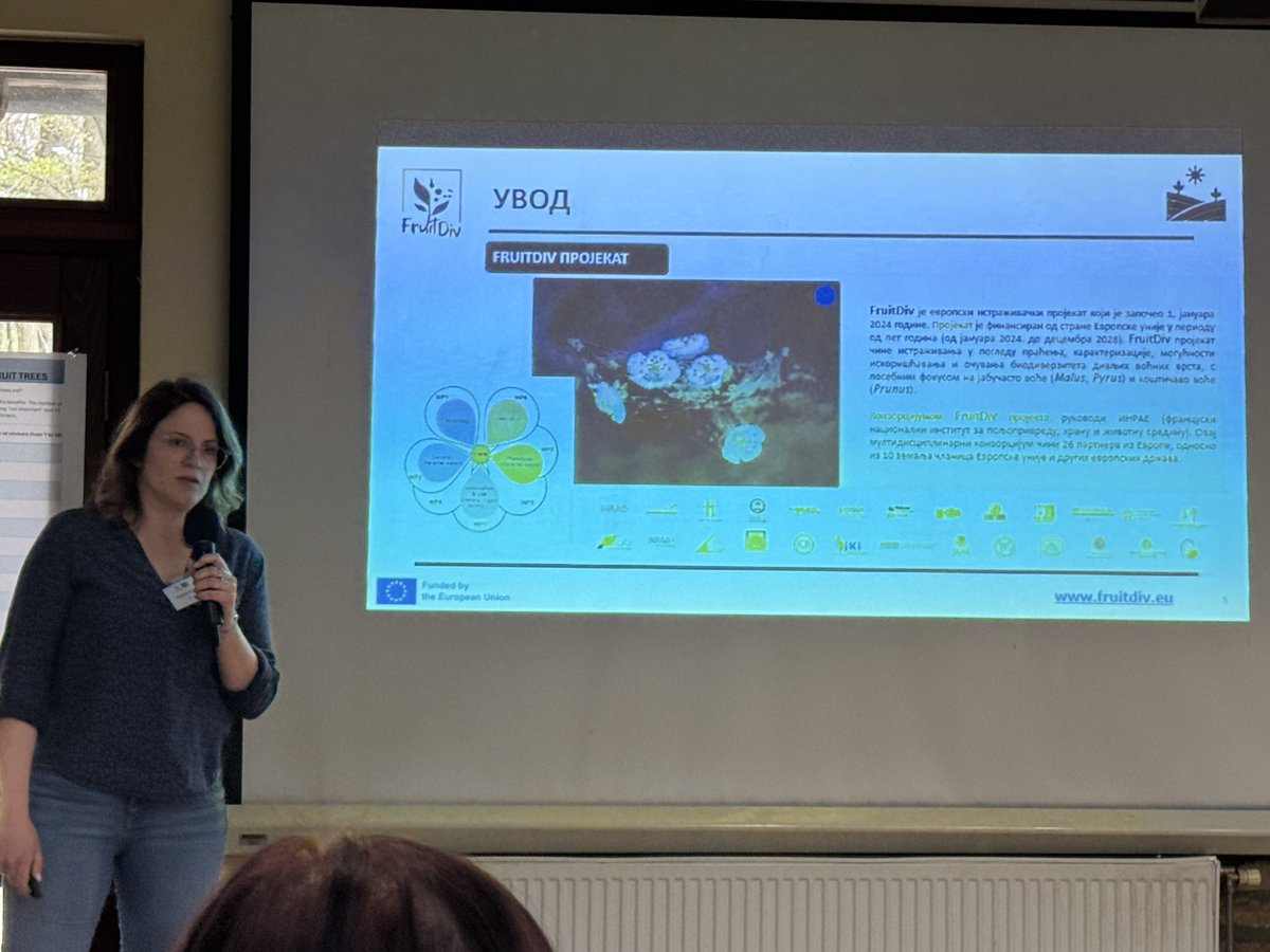 FRUITDIV tweet media