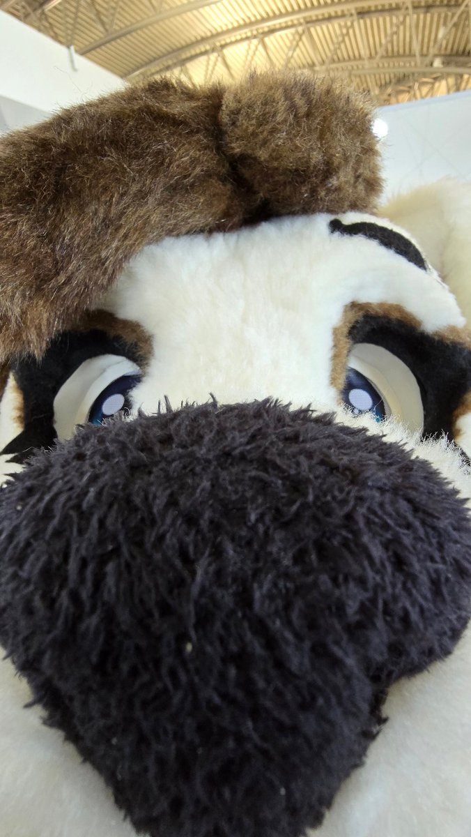 Sniff sniff
U got drugs?