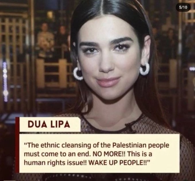 Irudia