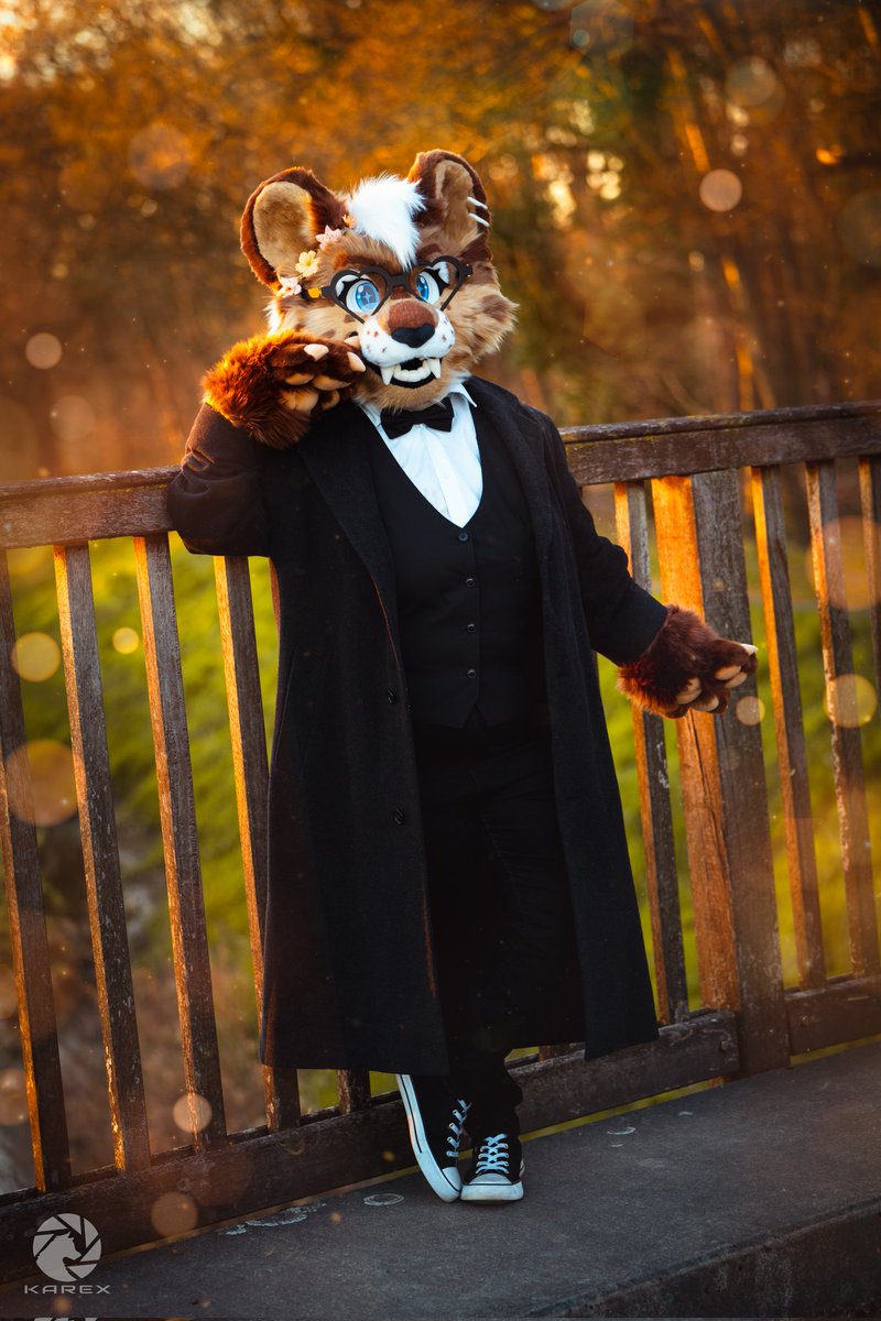 Stylish Kitty ✨🐱

My new Fursuit artived and we took some nice Pictures x3

✂️ RiceBall 
📸 <a href="/Karex_Wolf/">Karex</a>