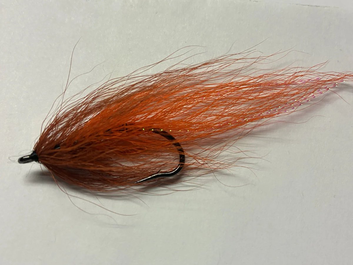 notonlytrout's tweet photo. It is time for some #FlyTying pictures! Can't wait to see what you've been tying up!

Tag @notonlytrout, use #TyingFliesTuesday, or respond here with your tying pictures &amp;I'll reshare and shout you out! 

Here is a two toned #bucktail #streamer I tied up last night!
#tyingflies https://t.co/qsCLKWAjjw