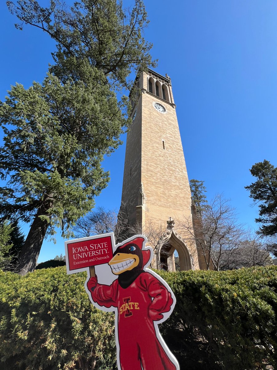 ISUANR's tweet photo. Can you spy Cy on Iowa State University’s campus? Comment below and let us know! 🔍👀
Hint: 🎵“True and valiant like the…”
#ISUExtensionWeek25 #ISpyCy25 #StrongIowa https://t.co/1hz7LRqj4q