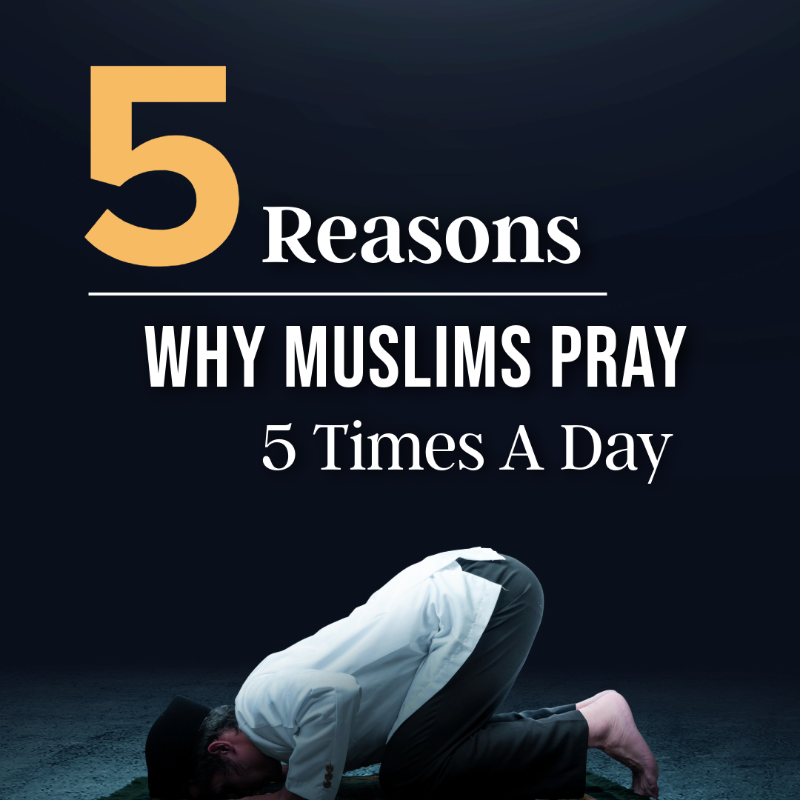 ReviewReligions's tweet photo. Ever wondered why Muslims pray 5 times in a day?

We have the answer...

#Prayer #Muslims #Spirituality https://t.co/xNoZurF4ZB