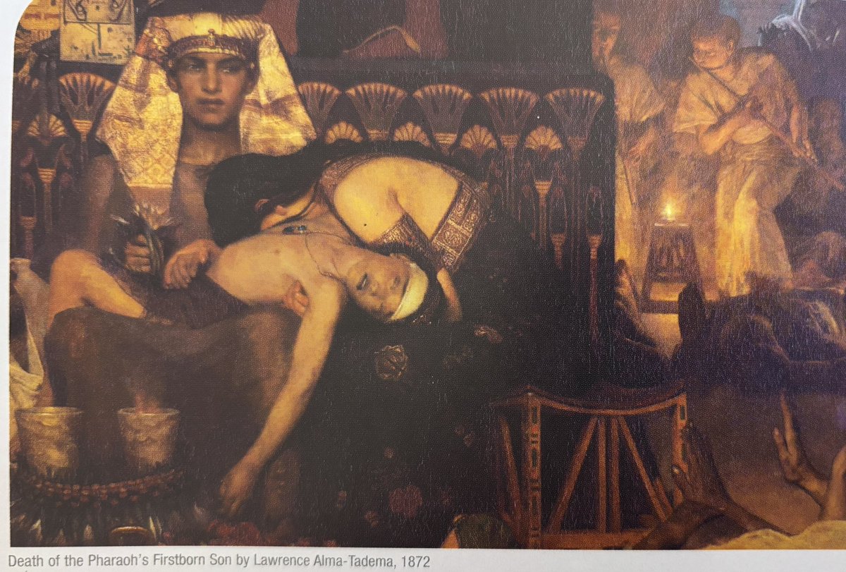 Jeanne Jacobson tweet media