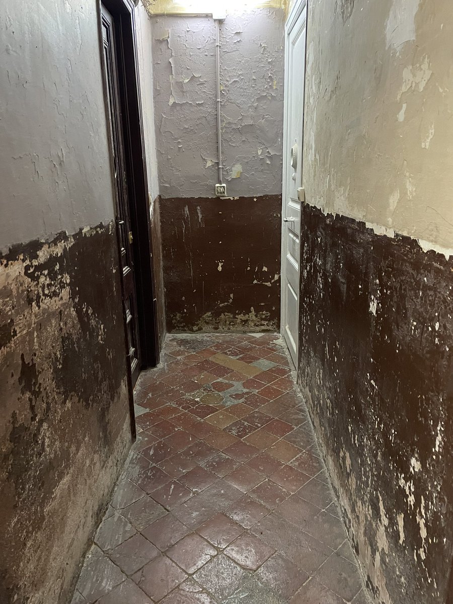 Beatriu Bilbeny tweet media