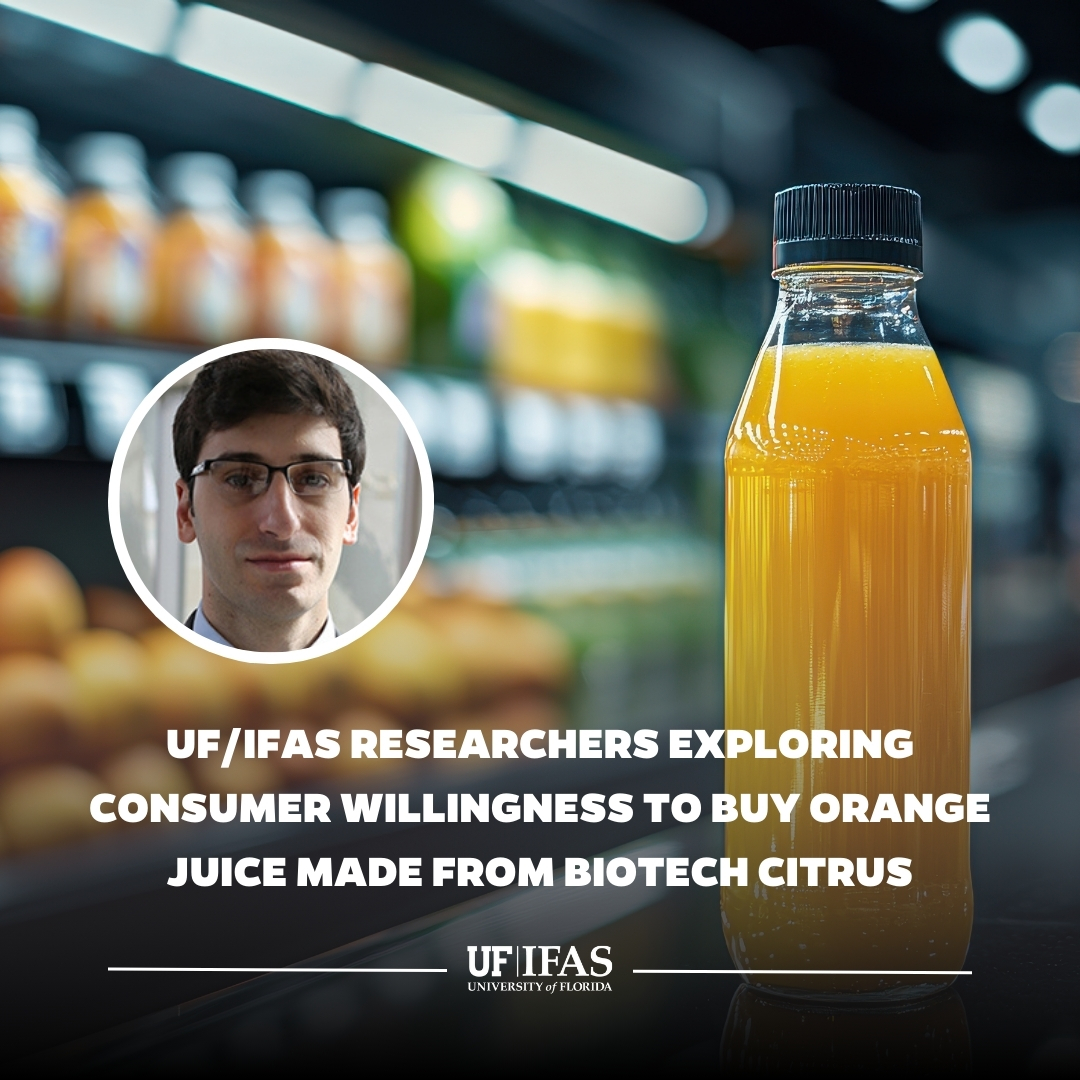 UF IFAS Solutions (@uf_ifas) on Twitter photo In the battle against citrus greening, consumers will tell growers their perceptions of genetic editing.
<a href="/UF_IFAS_FRED/">UF/IFAS Food and Resource Economics</a>'s Bachir Kassas is working to assess consumer acceptance of #biotech in citrus as part of our Crop Transformation Center's search for avenues to rescue In the battle against citrus greening, consumers will tell growers their perceptions of genetic editing.
<a href="/UF_IFAS_FRED/">UF/IFAS Food and Resource Economics</a>'s Bachir Kassas is working to assess consumer acceptance of #biotech in citrus as part of our Crop Transformation Center's search for avenues to rescue