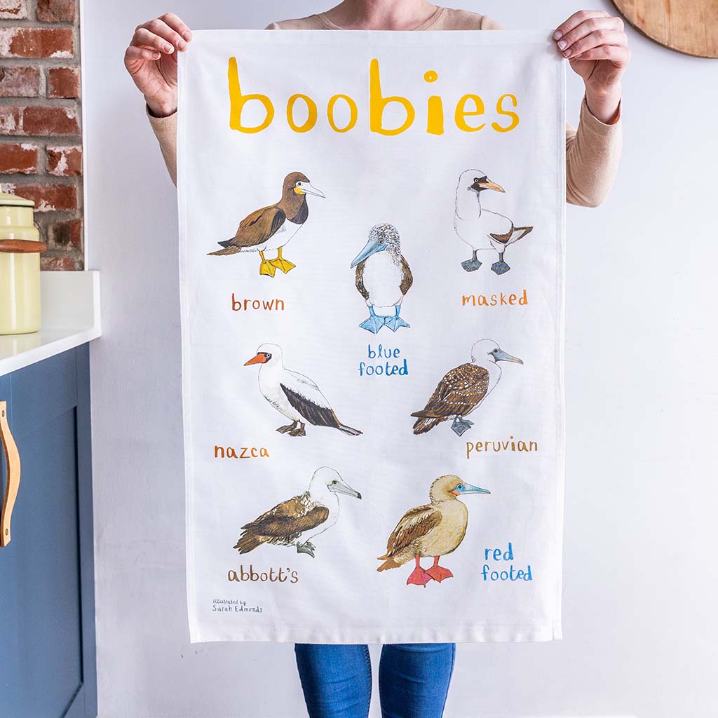 Perpetual_Kid's tweet photo. Ready to vibe with the coolest trio? Meet our Boobies Fowl Bird Greeting Card, Booby Bird Fowl Language Dish Towel, and Boombox Lunch Box. Ultimate coolness, delivered! 🐦📦✨ #PerpetualKid #UniqueGifts https://t.co/xXGOYD7SeW https://t.co/cG75Rm0g3V