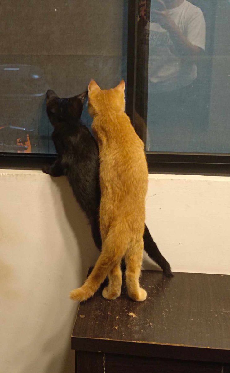 Mini_isTheBeast tweet media