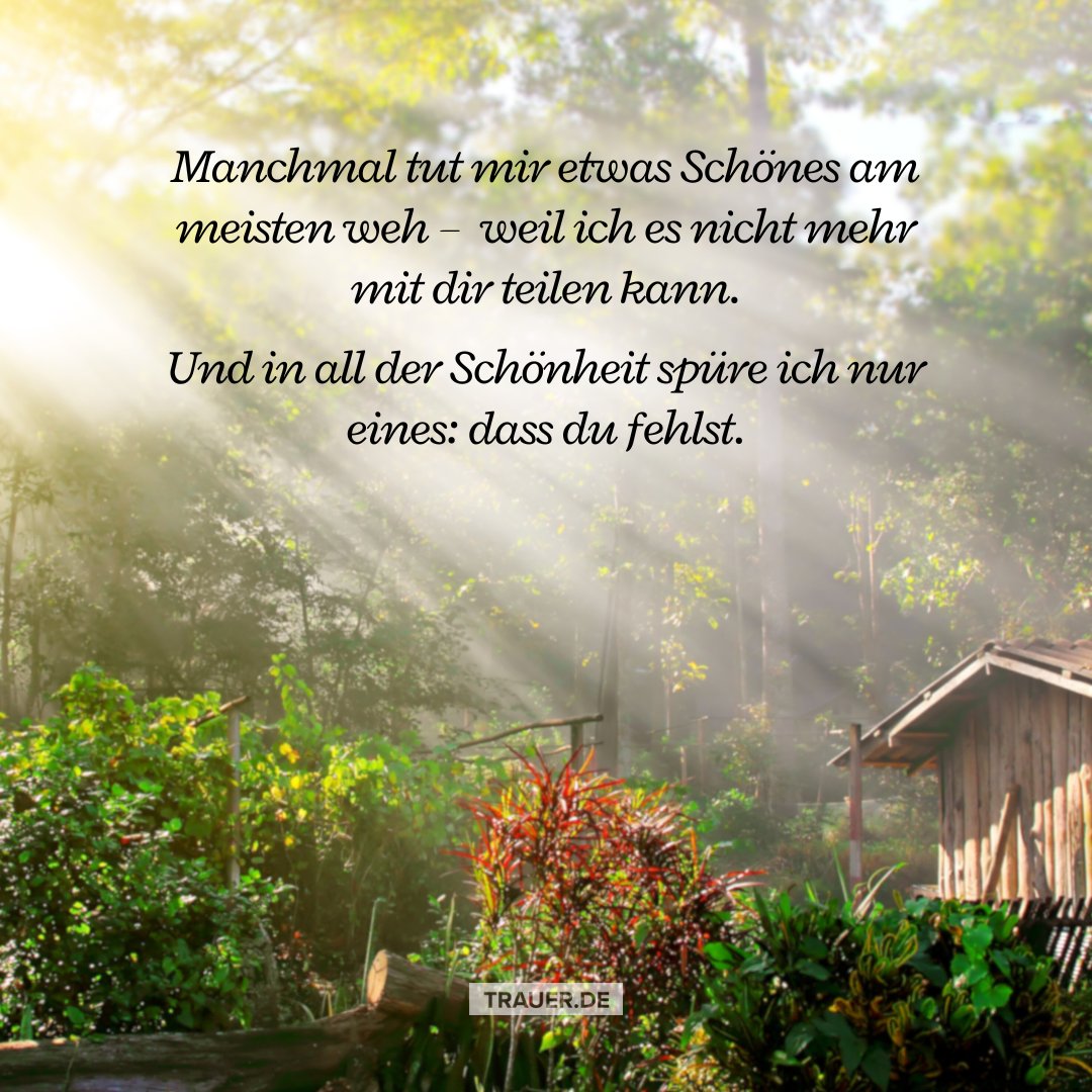 Trauer_de's tweet photo. Manchmal ist es das Schöne, das am meisten schmerzt – weil ich es nicht mehr mit dir teilen kann.
Und selbst das Licht wird dann still. 💔

#Trauer #Vermissen #Sehnsucht #Herzensmensch https://t.co/8k5wCuwOAh