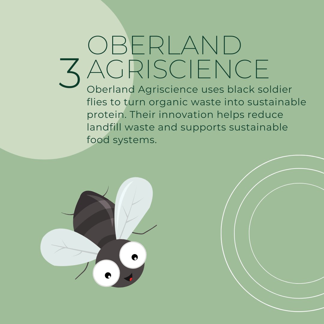 This Earth Day, we’re spotlighting 4 local businesses leading the way in sustainability. From ocean cleanup to zero-waste farming, they’re making a real impact. Support local, support the planet! 🌱🌍 #EarthDay2025 #SupportLocal #CEED