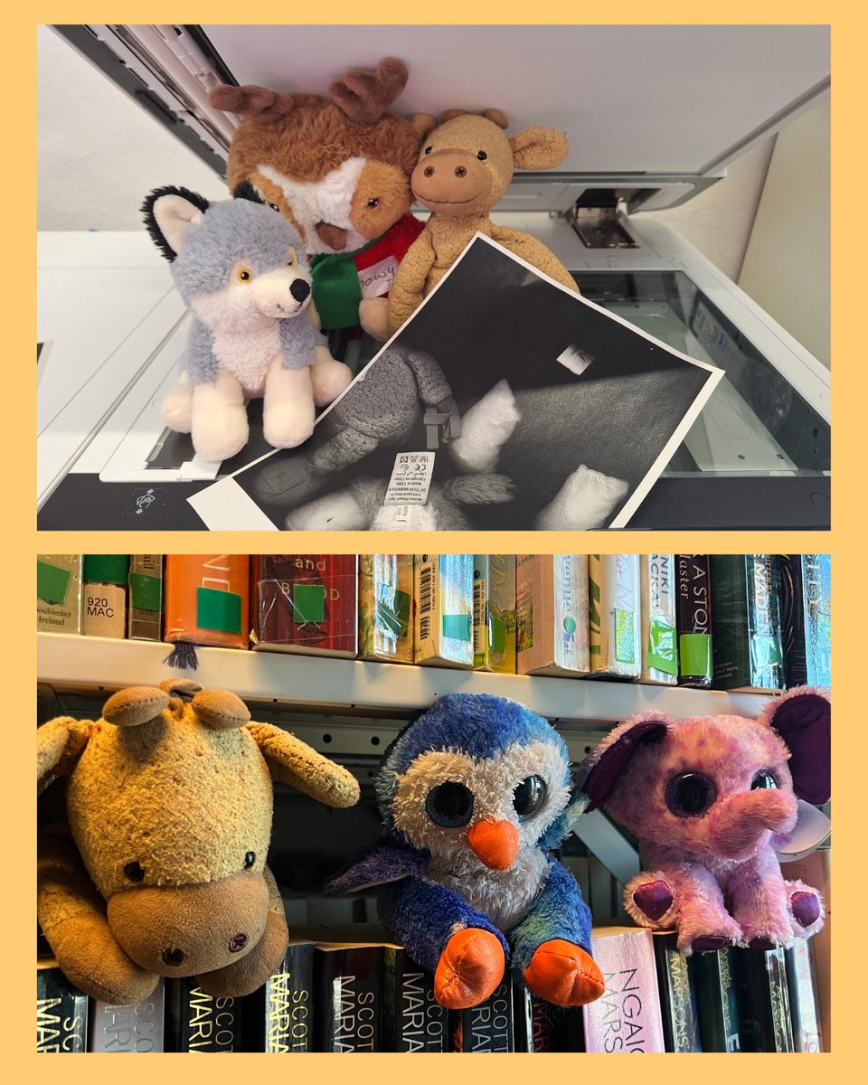 fingallibraries's tweet photo. This week #RushLibrary welcomed some teddy guests for our very first #TeddyBearSleepOver. The teddies had the library rules explained to them and then were told a story. These teddies were quite naughty and spent the night wreaking havoc in our library and breaking all the rules! https://t.co/lg7qPocRpE