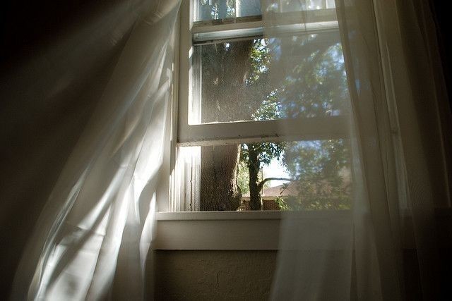 aesthetics_40 tweet picture