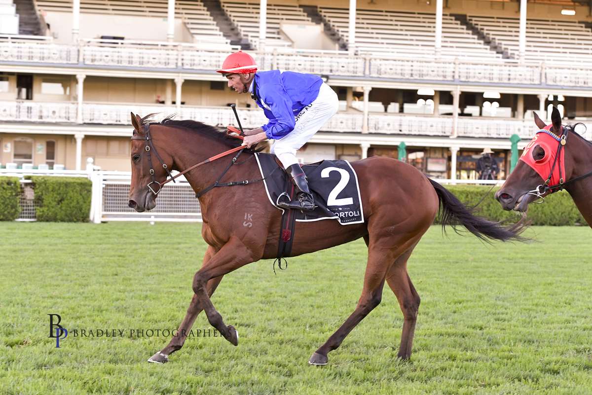 PRIME THOROUGHBREDS (@joefromprime) on Twitter photo Deep Emotion's win at Goulburn had special significance being the 300th individual winner I have syndicated. <a href="/JTRacingRwik/">John P Thompson</a> trained the 3yo filly and was Bill Mitchell's foreman when Cautious Lover was our 1st in 1999. <a href="/mitchellbstock/">Mitchell Bloodstock</a> <a href="/AndrewBensley/">Andrew Bensley</a> <a href="/inglis_sales/">Inglis</a> <a href="/yarramanpark/">Yarraman Park Stud</a> Deep Emotion's win at Goulburn had special significance being the 300th individual winner I have syndicated. <a href="/JTRacingRwik/">John P Thompson</a> trained the 3yo filly and was Bill Mitchell's foreman when Cautious Lover was our 1st in 1999. <a href="/mitchellbstock/">Mitchell Bloodstock</a> <a href="/AndrewBensley/">Andrew Bensley</a> <a href="/inglis_sales/">Inglis</a> <a href="/yarramanpark/">Yarraman Park Stud</a>