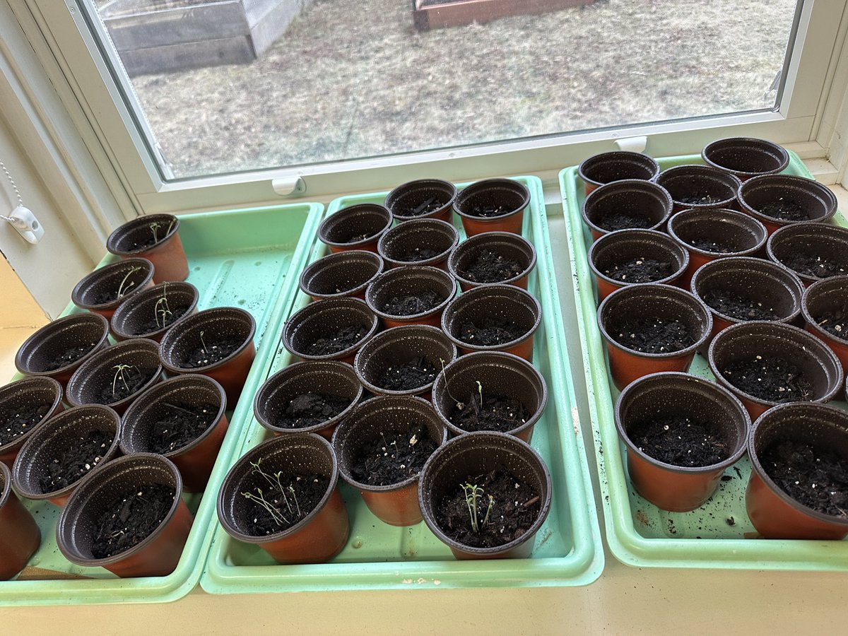 Melanie Smith tweet media