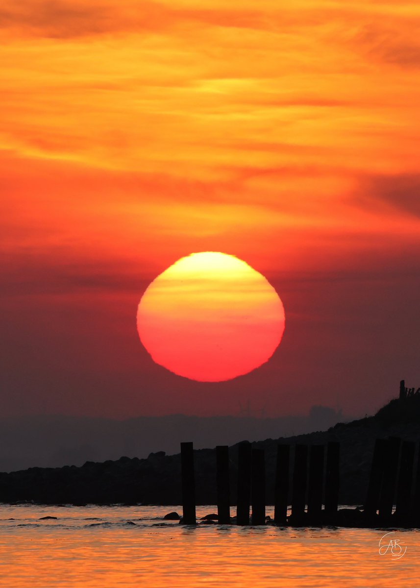AnnBruen's tweet photo. Phenomenal sunrise and sunset today on the Cooley Peninsula. So beautiful to witness. Sunset picture below from Gyles Quay / Dundalk Bay 
❤️❤️❤️❤️❤️
#sunset #pinksunset #gylesquay #dundalkbay #magicmoments #sealouth #irelandsancienteast #discoverireland https://t.co/QvuPXsDxCL