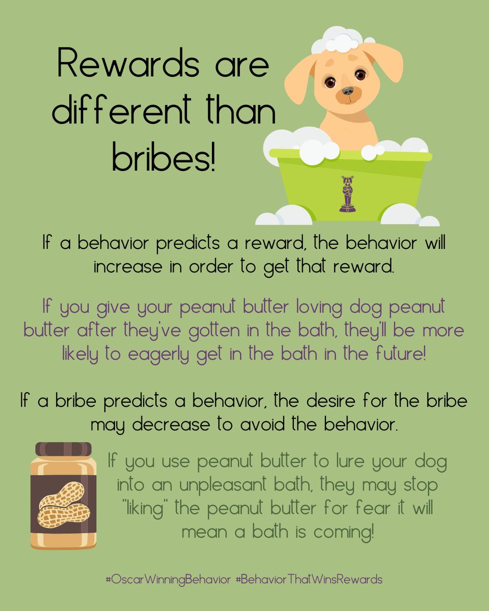 OscarWinning's tweet image. It seems like a frivolous distinction, but it makes a huge difference.  Rewards are more effective for establishing and maintaining behavior than bribes are!

#OscarWinningBehavior #BehaviorThatWinsRewards #TreatPride #Rewards #NoBribes #PositiveReinforcement