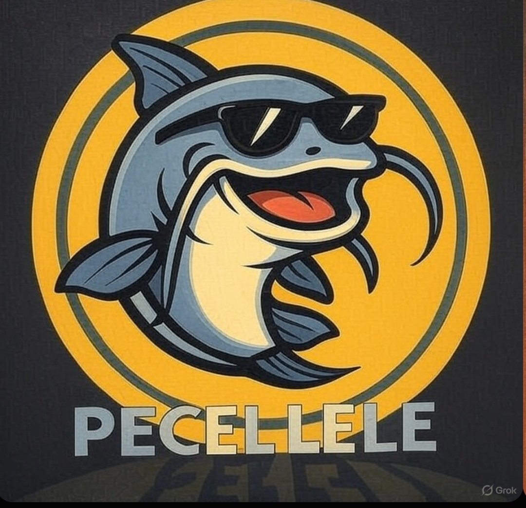 Pecellelecoin's tweet photo. "He survived muddy waters, now he’s swimming in Solana. Meet $PLELE — the street food king of meme coins!" https://t.co/5Gdi6tWDL2