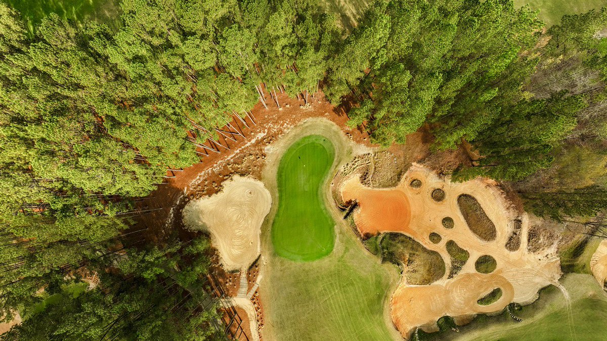 TobaccoRoadGolf's tweet photo. Par-5 No. 11 @TobaccoRoad 
That waste area doesn’t look so bad 🤣

[ Photo @Barnttmedia ] https://t.co/AKcfRjv6Ki