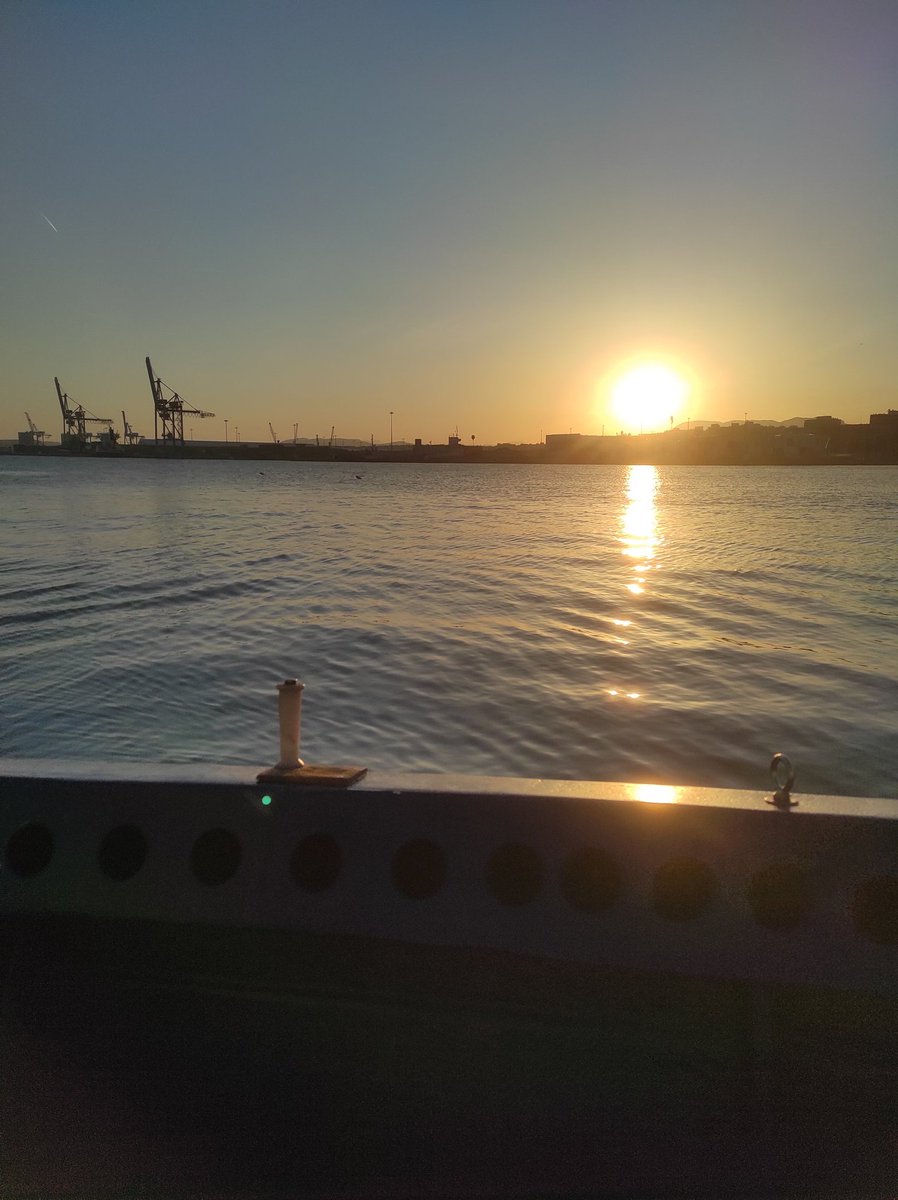 Dándole a la palada 🚣🏽‍♂️ #Alicante #Alacant