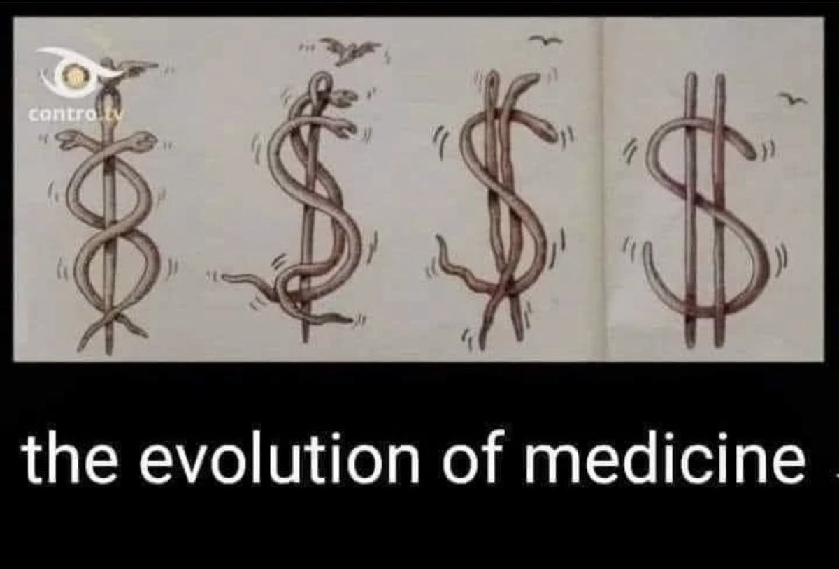 DogeDesigner (@cb_doge) on Twitter photo 