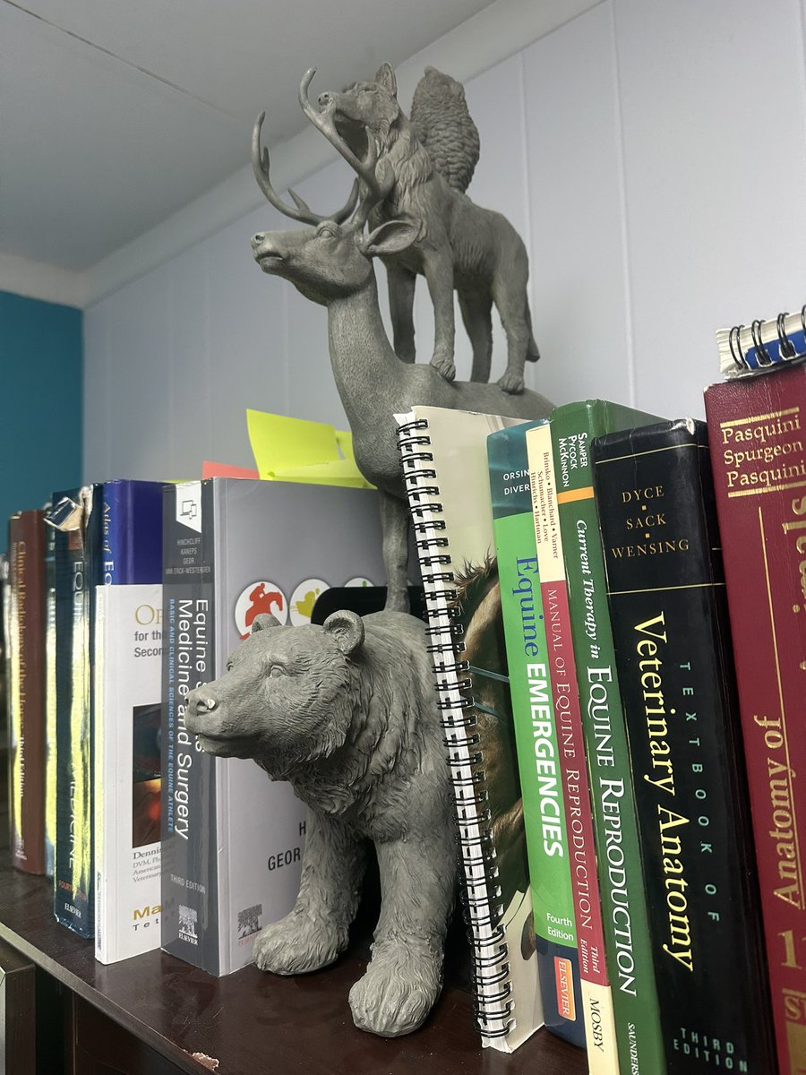 doc_beasley's tweet photo. Things in my office. Post #2 https://t.co/QwZZh75In9