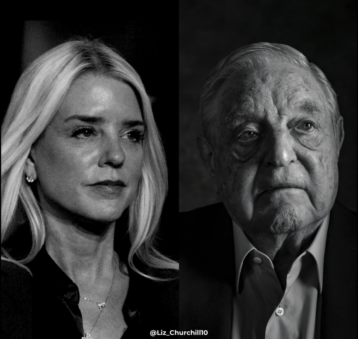 Liz Churchill tweet media
