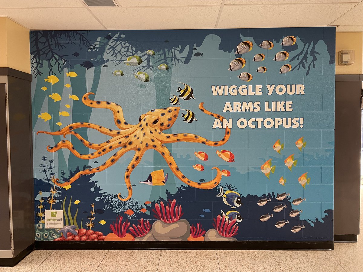 IncWonderwall's tweet photo. Wiggle your way down the hall with the octopus—move, groove, and have some fun! 🐙✨ #sensorywall #mural #wonderwalldesign https://t.co/Ky6gNY4Cts