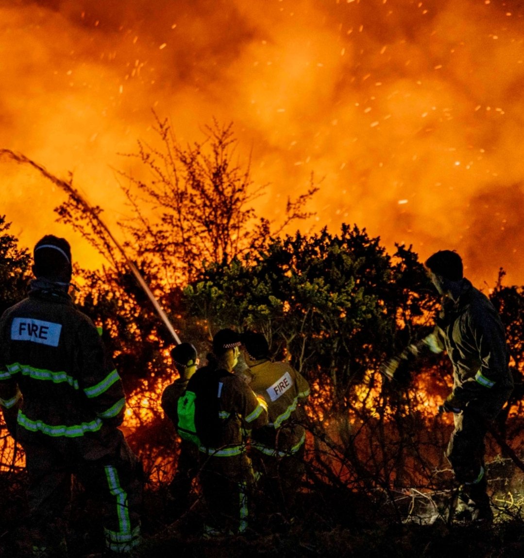 St James's Community Farm tweet media