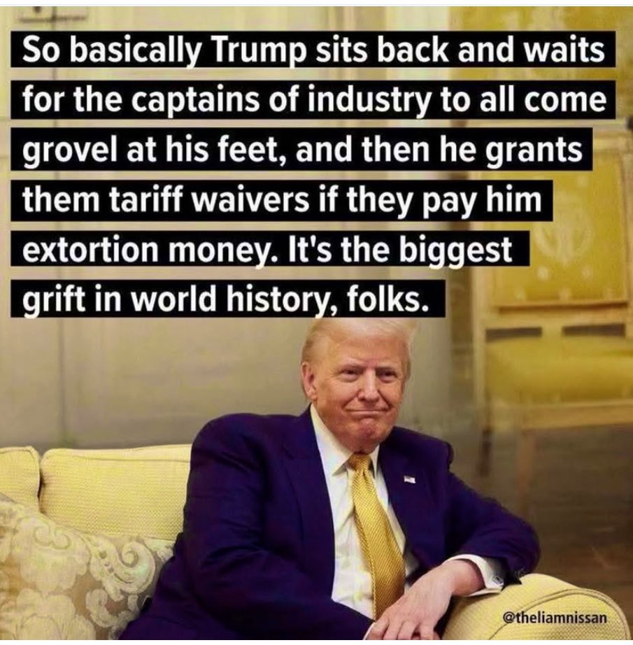 BrooklynFlowe15's tweet photo. @RapidResponse47 @WhiteHouse @POTUS #GRIFTER #SHEISTER #THUG https://t.co/tqff1IMIL5