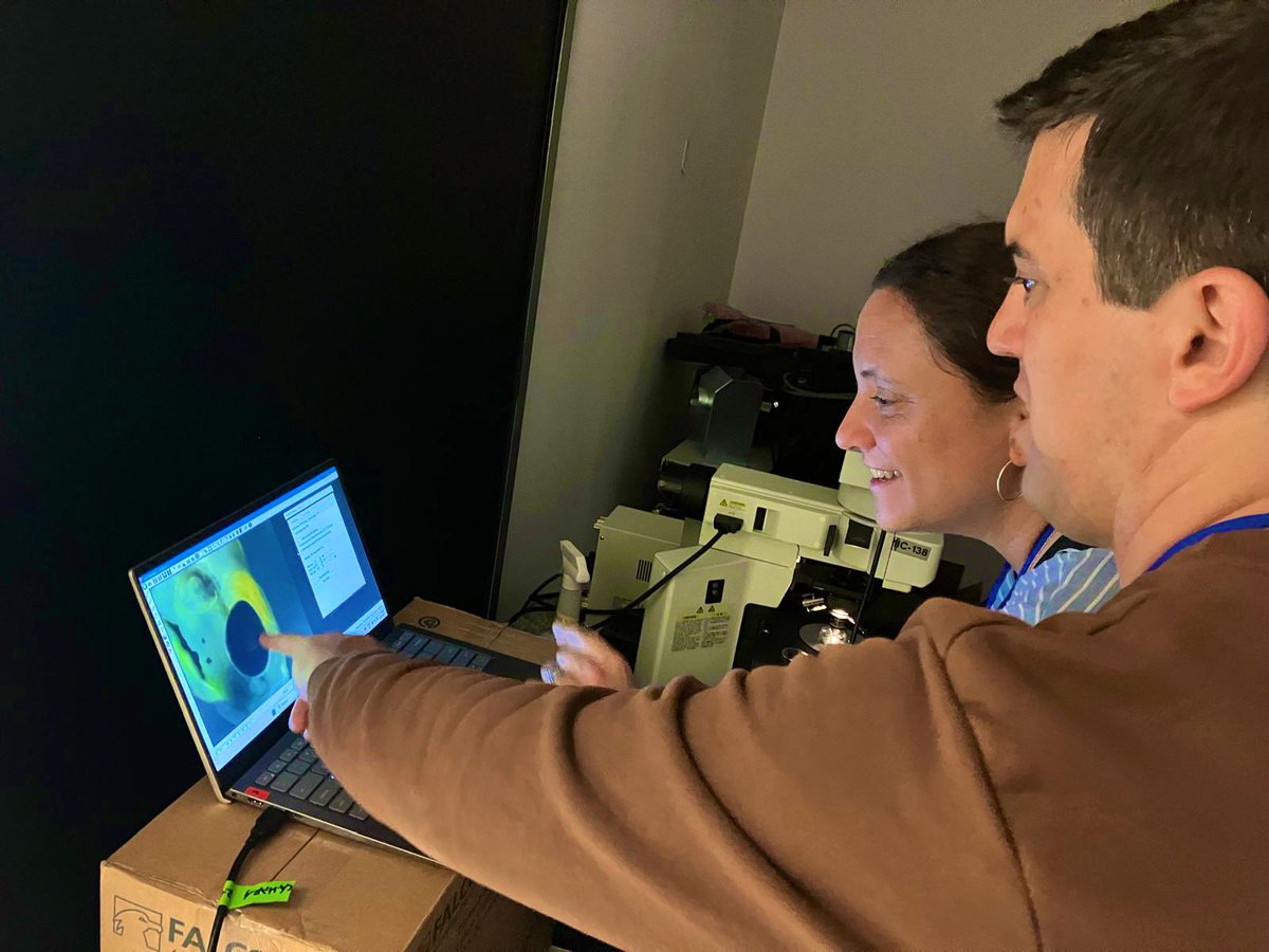 advanced_unit's tweet photo. @Garcia__Majo Las secciones prácticas de hoy fueron todo un éxito!
#ResoluciónÓptica
#DIC
#Darkfield
#Lifeimaging
🔬🧫🐠🦓 https://t.co/I0EpIgkCeH