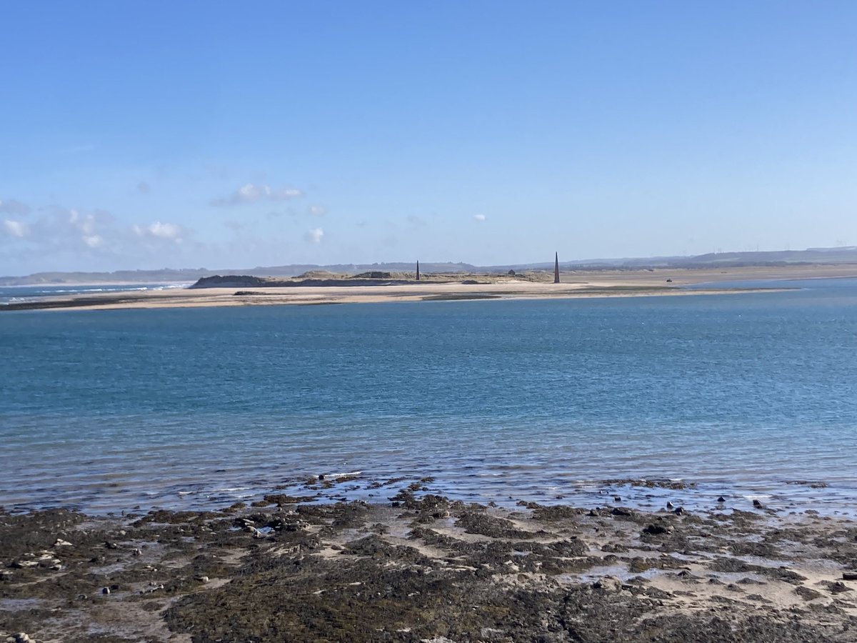 Sarah 🇺🇦 tweet media