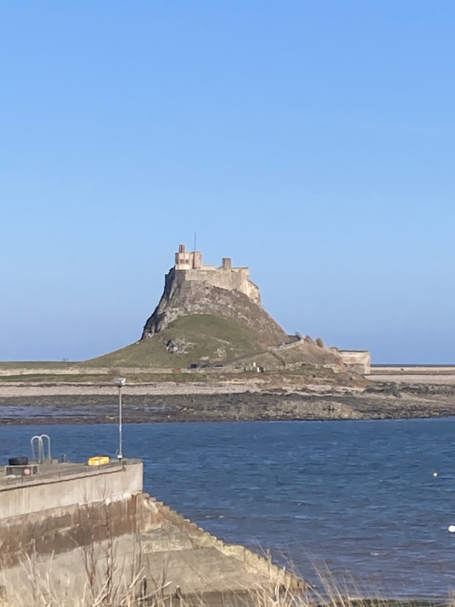 Sarah 🇺🇦 tweet media