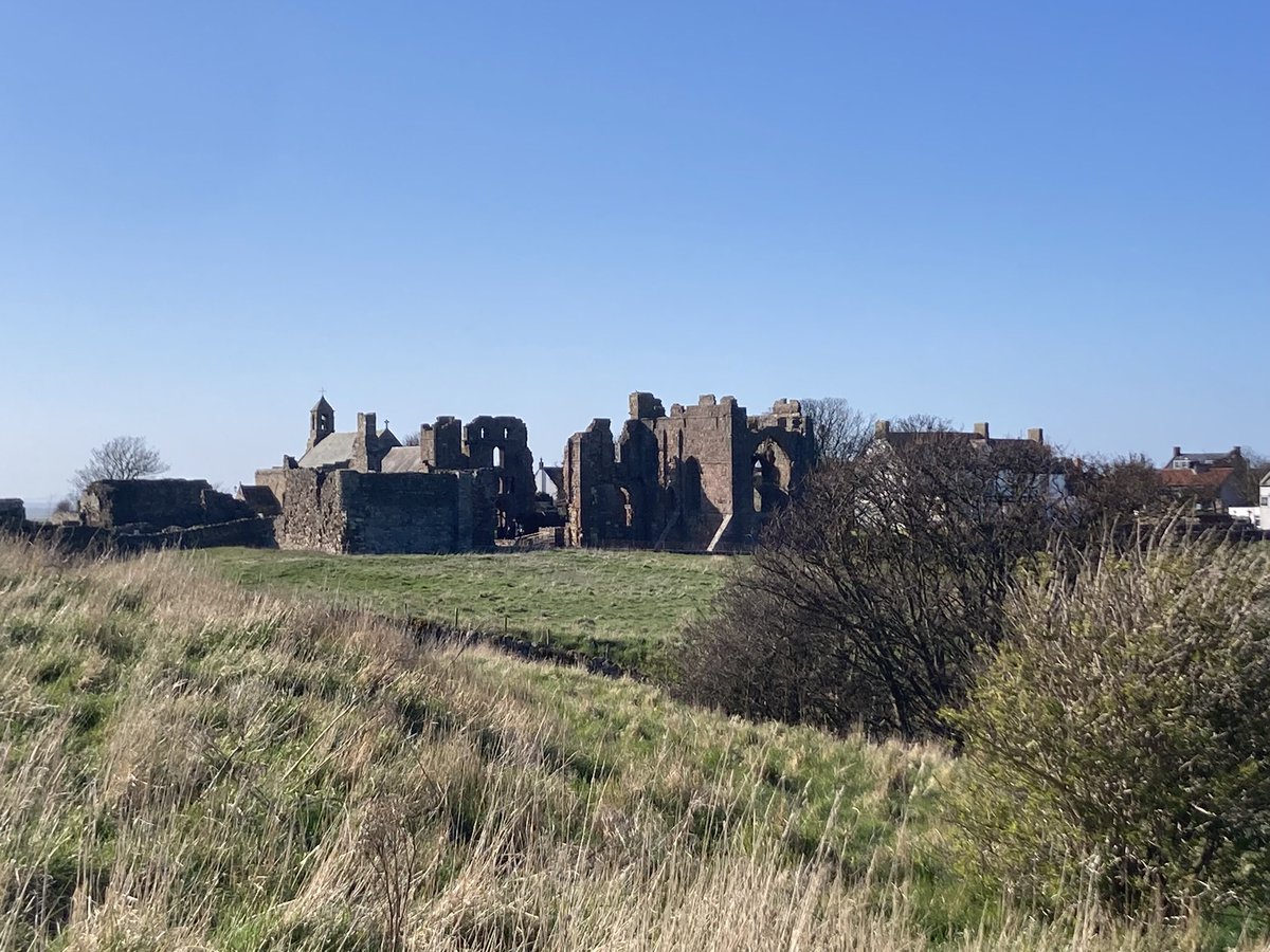 Sarah 🇺🇦 tweet media