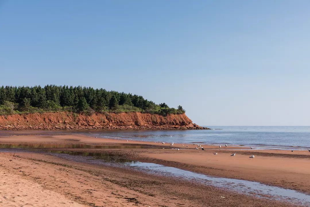 Welcome PEI tweet media