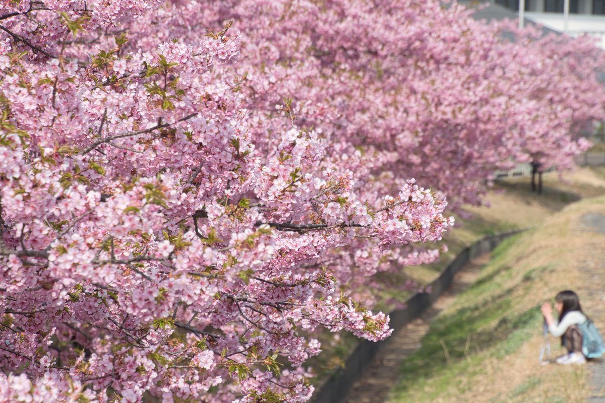 おはようございます