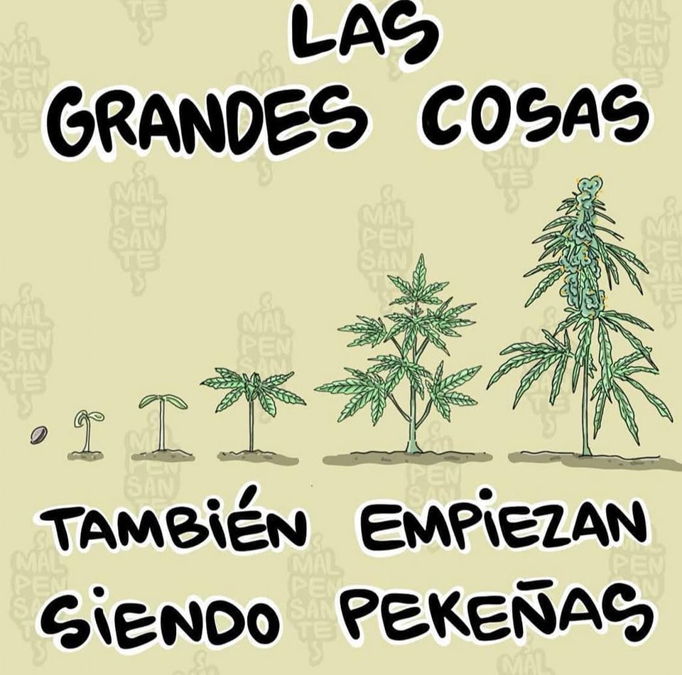 Ku$h Station (@kushstation1) on Twitter photo 