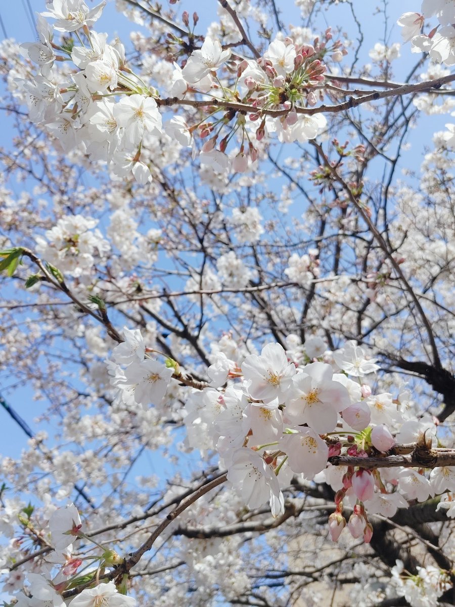 み (@23_kasumisou) on Twitter photo 