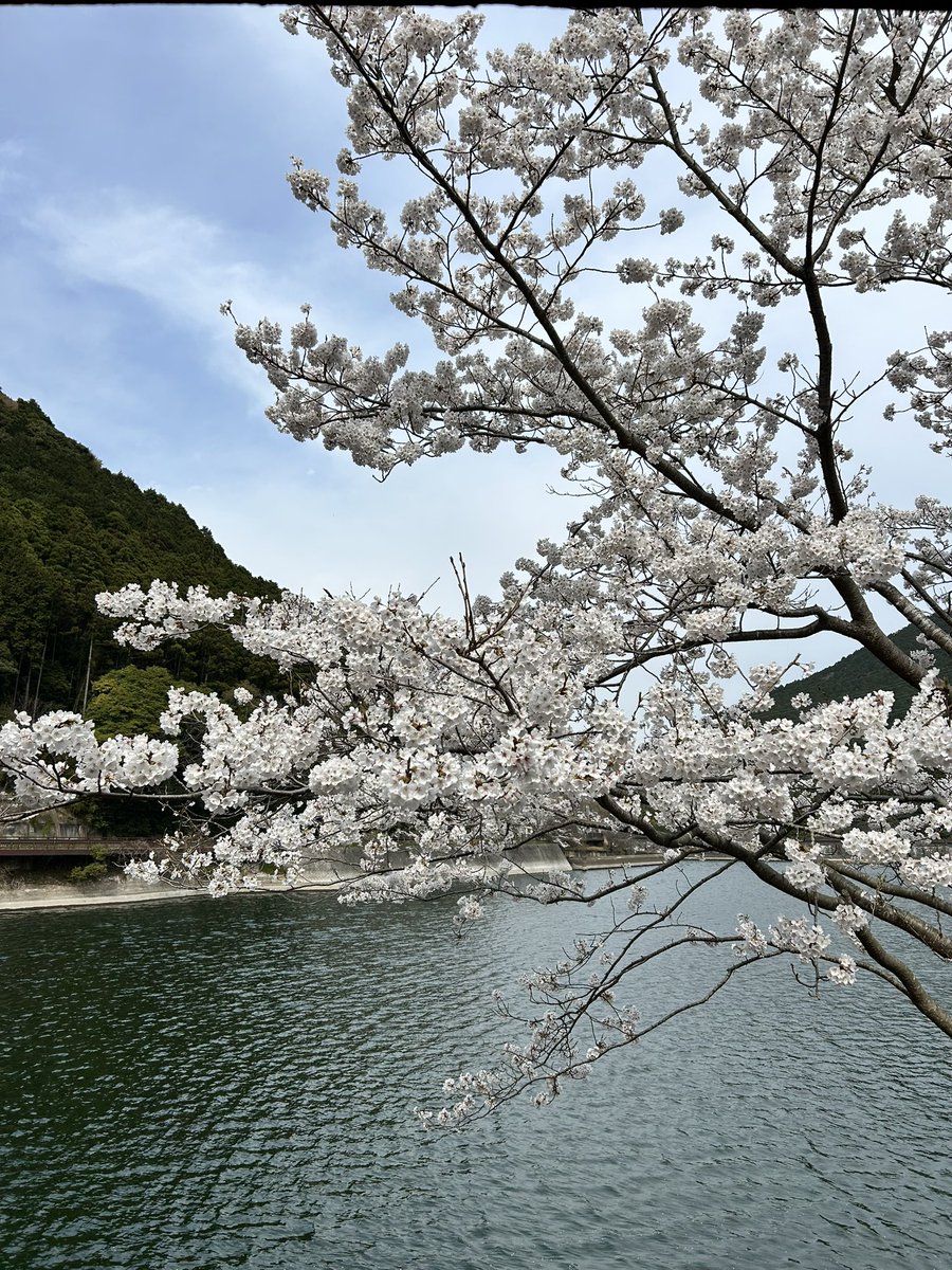 inouesingo's tweet photo. 新しい指定管理者による河内サイクリングセンターが始動しました。 https://t.co/FmTie1XfTN
