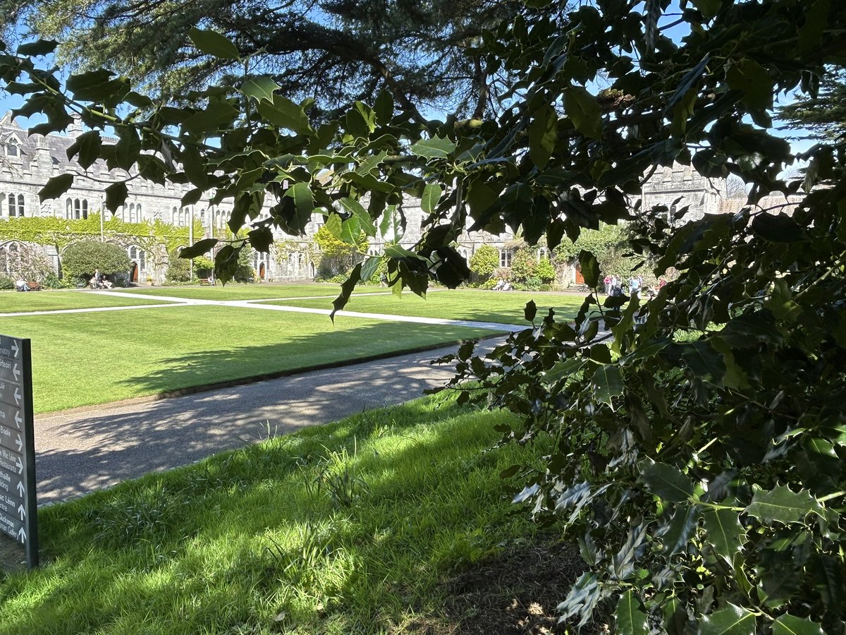 DeasyPamela's tweet image. Leaving College now and what an evening 😎 it was a long day but trying to catch up and work on my assignments 📝💻
#sunshineinUCC #April #sunshine #examseason