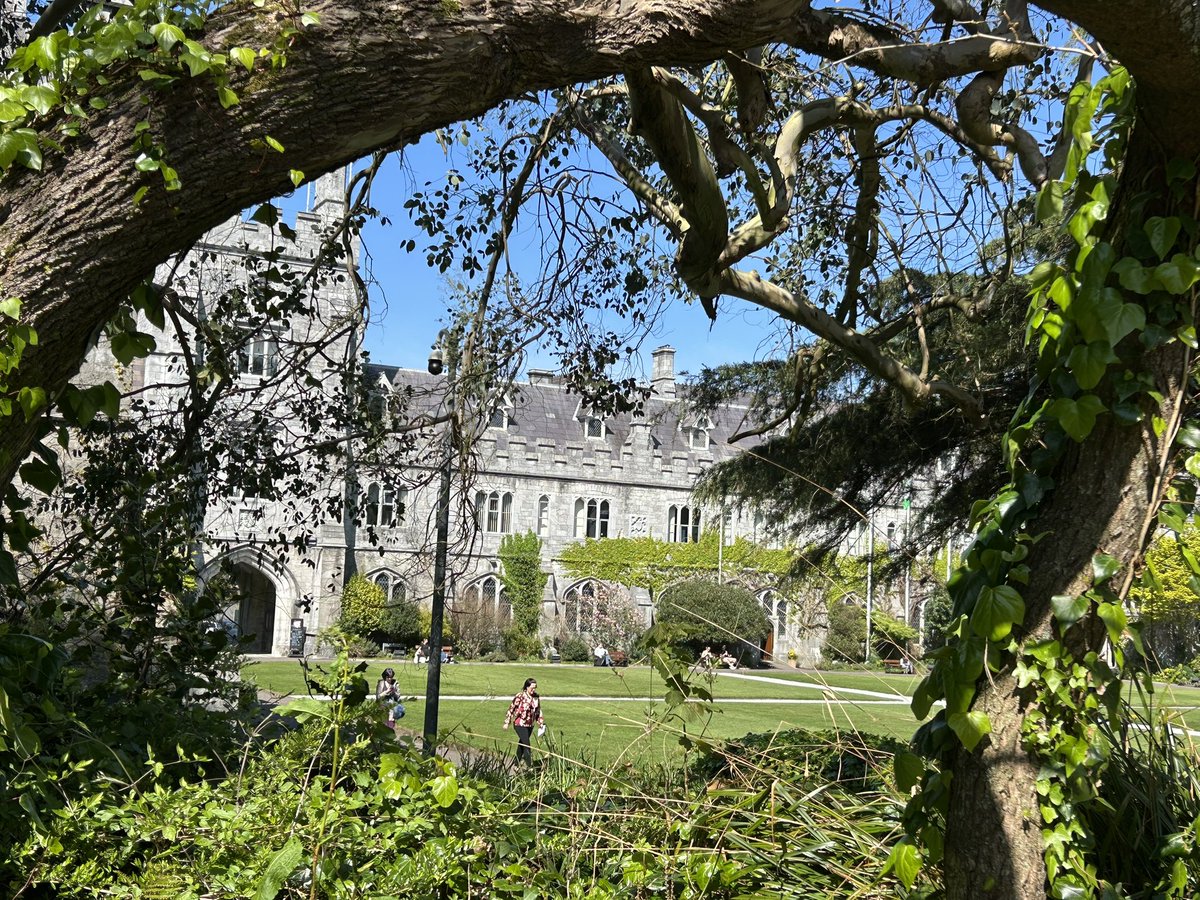 DeasyPamela's tweet image. Leaving College now and what an evening 😎 it was a long day but trying to catch up and work on my assignments 📝💻
#sunshineinUCC #April #sunshine #examseason