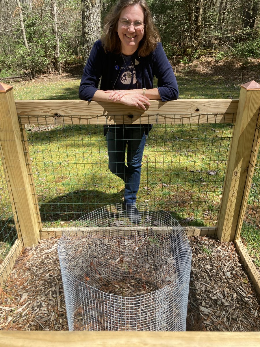 CarolynBFraiser's tweet photo. Met our newest baby #moontree at the Cradle of Forestry - Heritage Site &amp; Discovery Center over the weekend. Isn't it cute??? 😍

#NASA #Science #Space #history https://t.co/b1YAaR7r0r