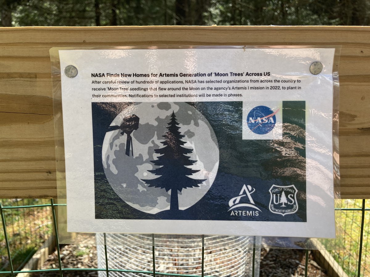 CarolynBFraiser's tweet photo. Met our newest baby #moontree at the Cradle of Forestry - Heritage Site &amp; Discovery Center over the weekend. Isn't it cute??? 😍

#NASA #Science #Space #history https://t.co/b1YAaR7r0r