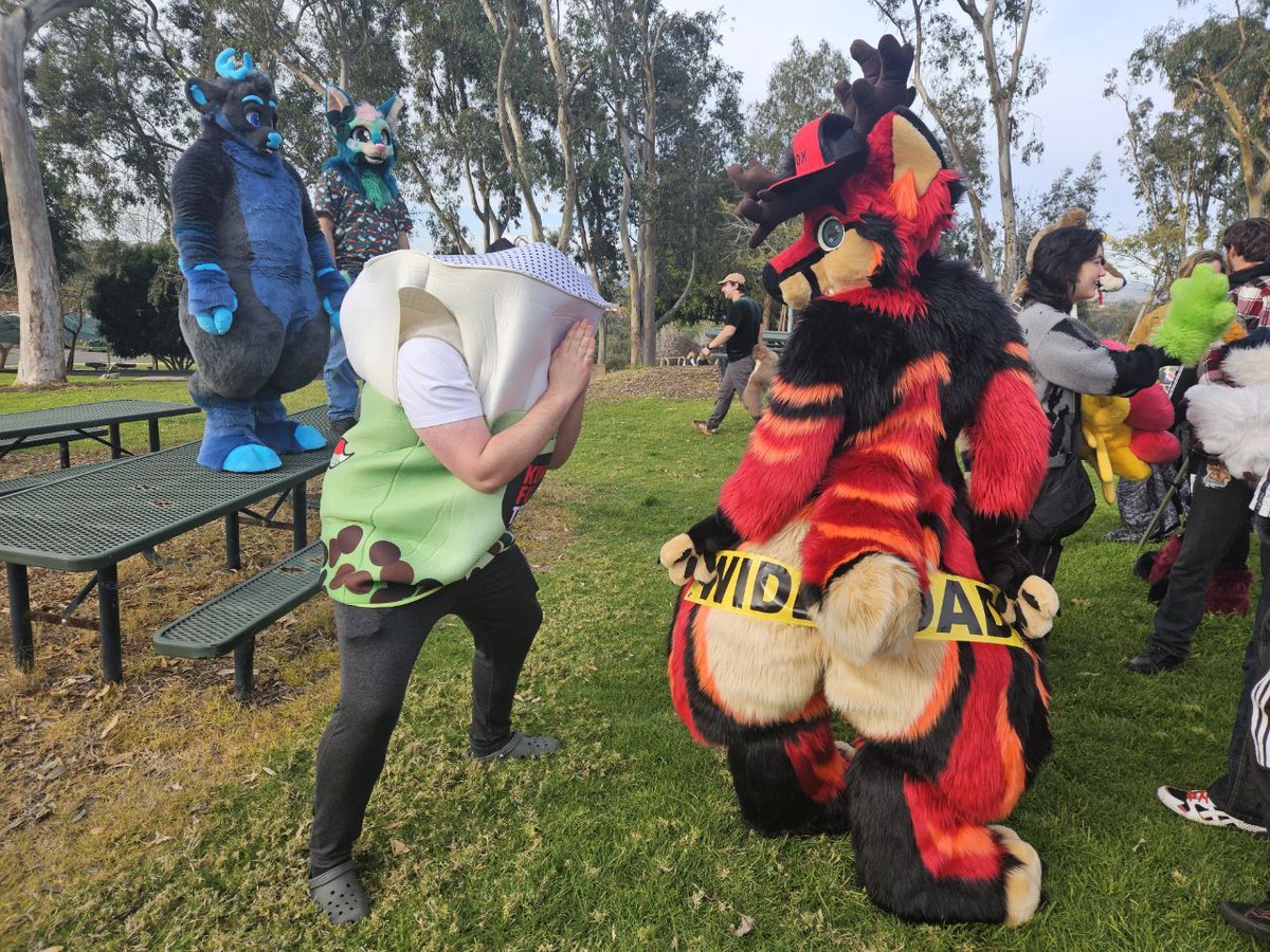 Scaddamsderp's tweet photo. THANK YOU EVERYONE FOR THE 1000+ FOLLOWERS!!!
To my friends for supporting me, my antics, and my goofiness:
@WonderOfUwU 
@alloyfur 
@BlubberButtWolf 
@DJ_Whole_Milk2 
@2006Escape
@CangyBird 
@TolpRomra 
@MatchaBernard
@YahItsKyrie
Andes_the_ferret

Feat: @MamboFloof, Tarn https://t.co/kEWOCx3TIC