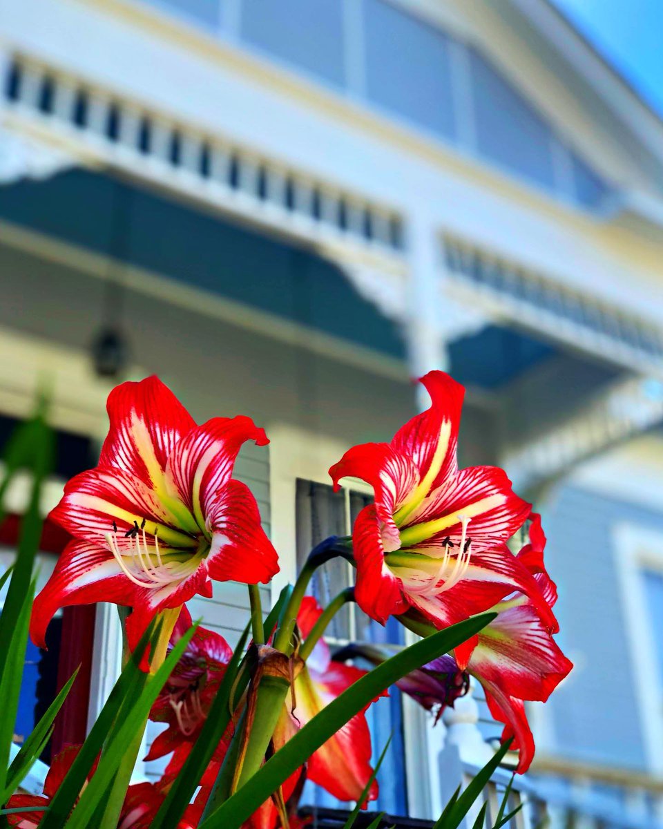VisitMobileAL's tweet photo. Spring looks good on you, Mobile. β₯οΈ #VisitMobile
πΈ: runningandadventuring on IG https://t.co/WE3EgLtBYU