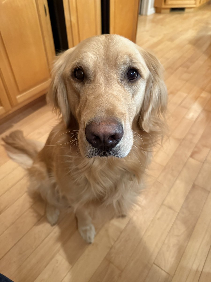 HangingWithMrCooper tweet media